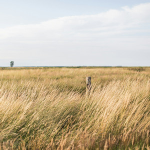 tuning out (airplane mode) by Do Not Disturb