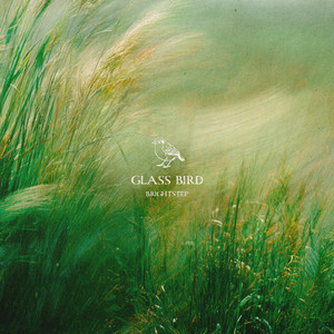 Brightstep by Glass Bird