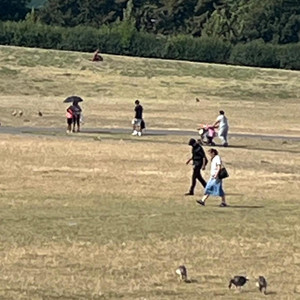 Five(six) people in Burgess Park