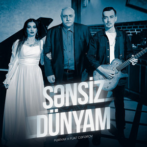 Sənsiz Dünyam