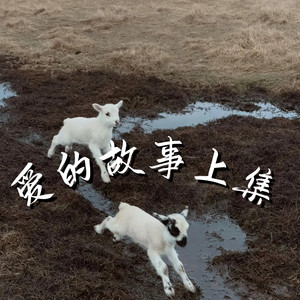 爱的故事上集 - 港风女声版 by 嘉昕