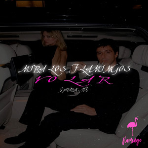 Mira Los Flamingos Volar - Edit by Chichee, DJ Pirata, DJ Cuba