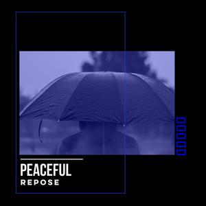 # 1 Album: Peaceful Repose album