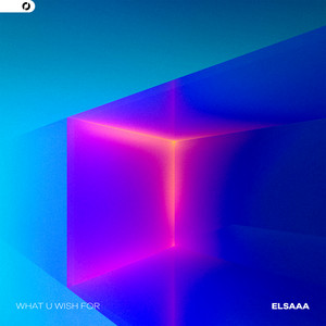 what u wish for by elsaaa