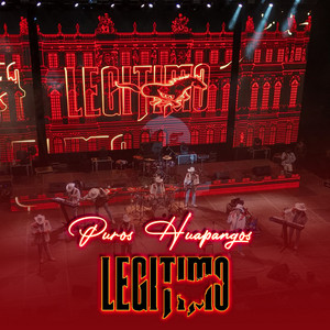 Puros Huapangos (En Vivo)