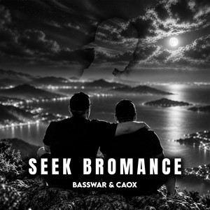 Seek Bromance (Hardstyle) by BassWar & CaoX