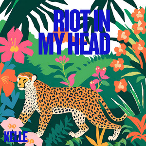Riot In My Head