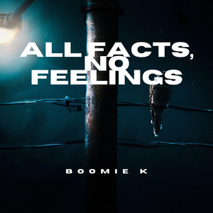 All facts, no feelings by Boomie K