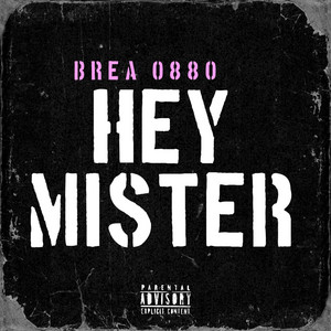 HEY MISTER by Brea F-1
