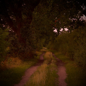 Summer Nights by Drunk Birds
