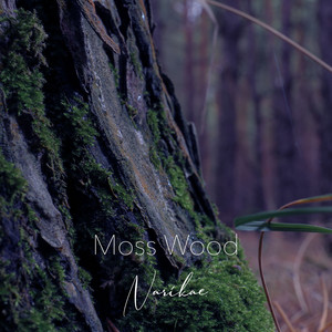 Moss Wood by Narikae
