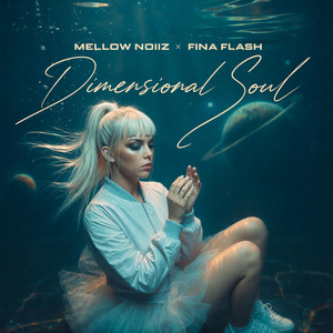 Dimensional Soul by Mellow Noiiz, Fina Flash