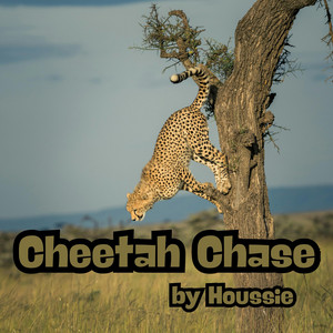 Cheetah Chase by Houssie