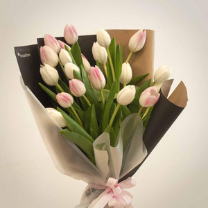 Reze archena - Tulips