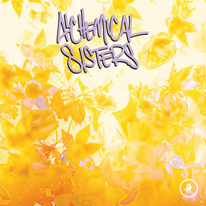 Did You Know by Alchemical Sisters