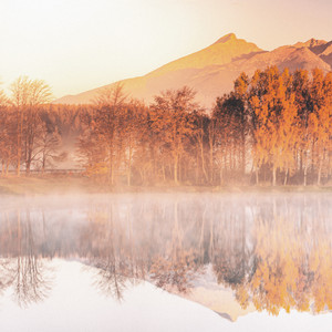 Positive Flow by Silence Concertos