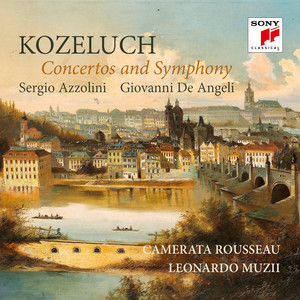 Concerto for Bassoon and Orchestra in C Major, LMik. JAK XIV:1: II. Larghetto