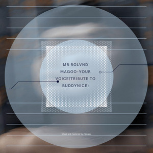 Mr Rolvnd Magoo - Your Voice(Tribute to Buddynice)