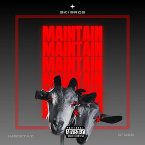 Portada de Maintain
