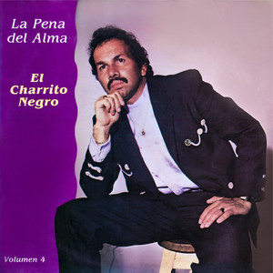 Portada de Temo Perderte