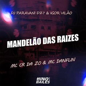 Mandelão das Raizes (feat. DJ PARAVANI DZ7)