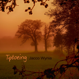 Tiptoeing by Jacco Wynia