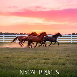 Lo Distinto by Nixon Bruces