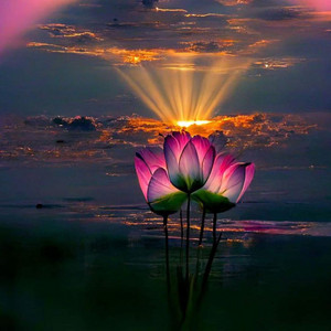 أمير كايرو - أنغام البهجة