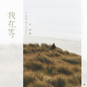 我在等 by 林宝馨