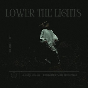 Lower The Lights by Midnight Teddy
