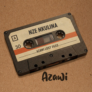 Nze Nkulina