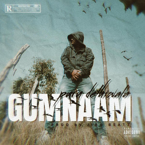 Puru Delhiwala - Gumnaam