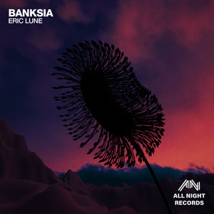 Banksia by Eric Lune
