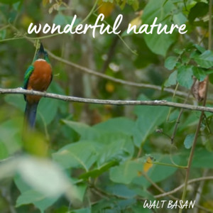 Walt Basan - Wonderful Nature
