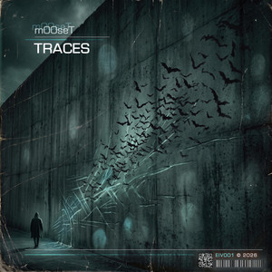 Traces by m00seT
