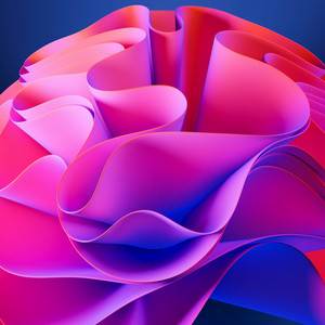 DJ Zenta - Who Gave You The Money