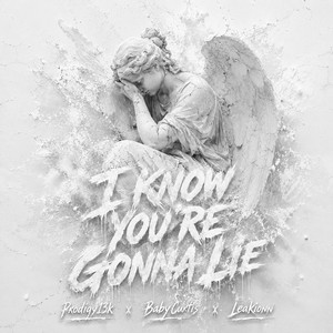 i Know Your Gonna Lie - Remix by prodigy13k, BabyCurtis, Leakionn