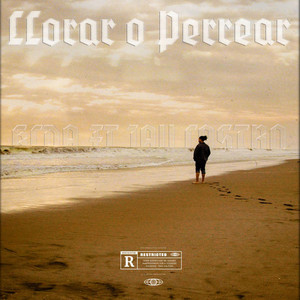 Llorar o perrear by Kcda