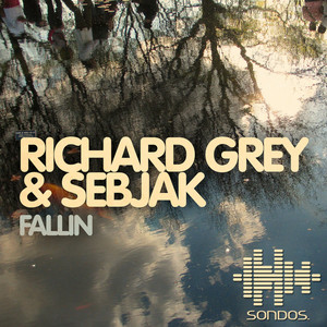 Fallin (Miami Mix) cover art