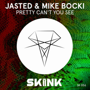 Pretty Can't You See by Jasted, Mike Bocki