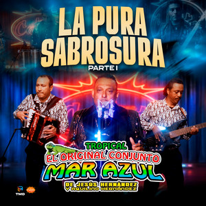 Me Voy a Trabajar by Conjunto Mar Azul De Aquilino Hernández