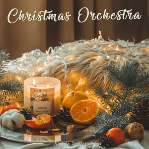 Kyrylo Zaplotynskyi — Christmas Orchestra