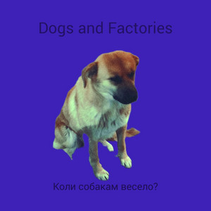 Коли собакам весело?