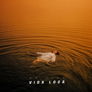 Vida Loca by Mattend