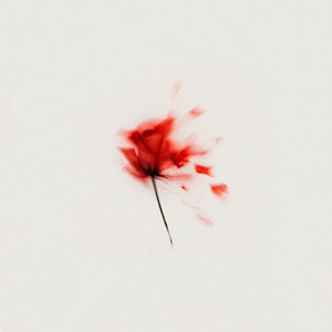 Hurt You by Crunkz