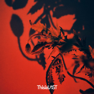 This is LAST | Spotify
