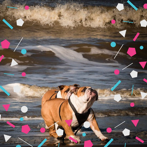 Clarinet Solo - Background for Chilled Dog Moments album