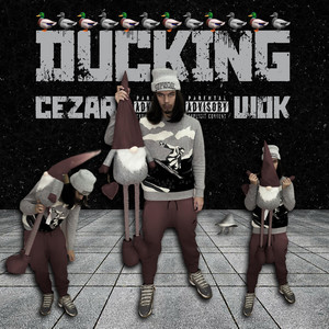 Cezar Wok - Ducking