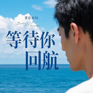 林翠萍 - 等待你回航