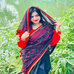 Arian Roshi - সাধের চাকরী একবার কইরা দেখ দিনর